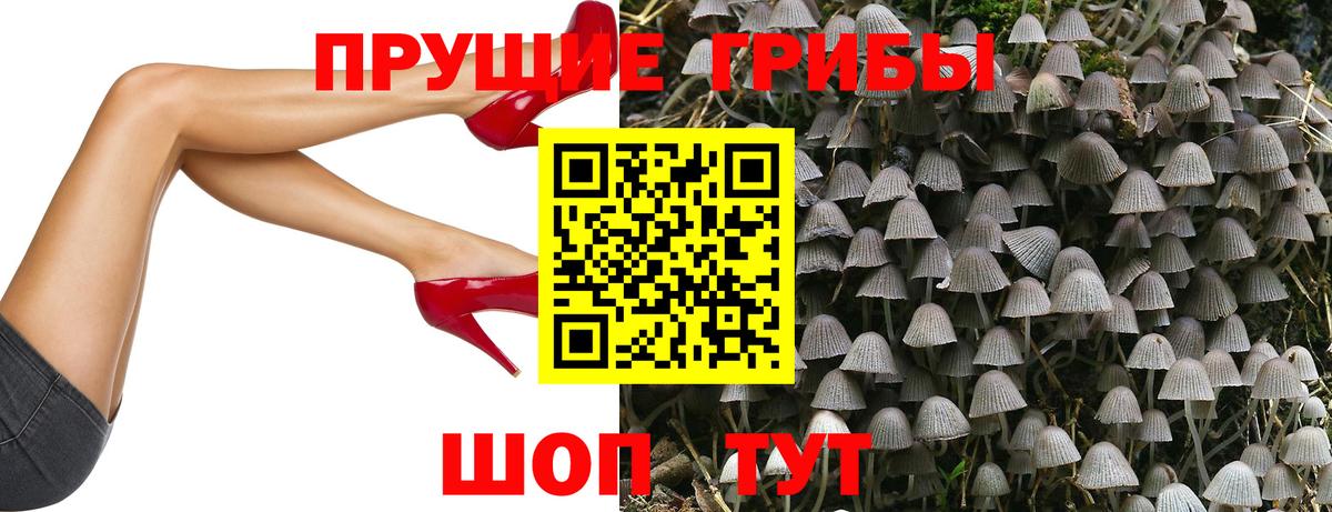 Псилоцибиновые грибы Magic Shrooms Минусинск